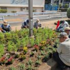 公園の花壇づくり作業（その２）