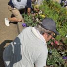 公園の花壇づくり作業（その１）